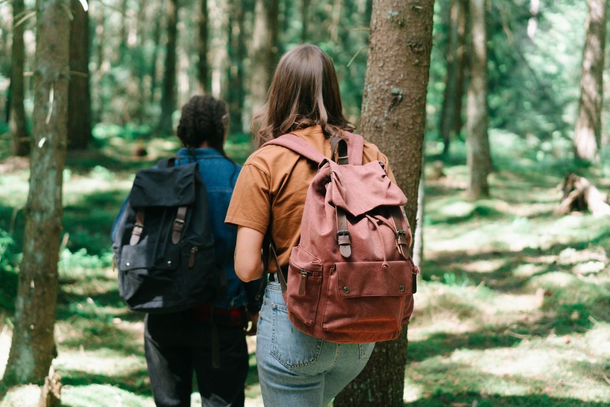 People walking through a green forest trail