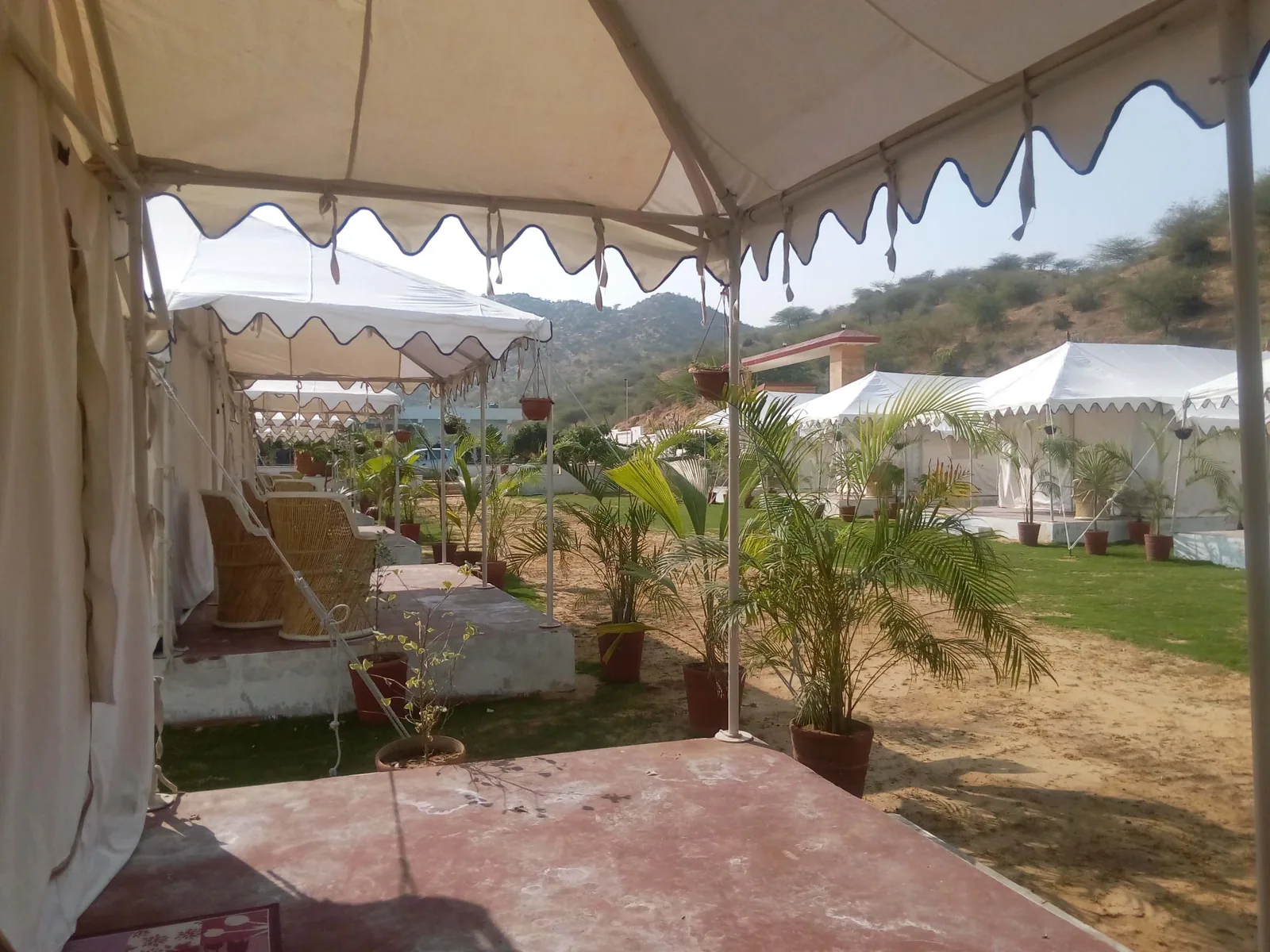 The Pushkar Bagh Resort — property photograph 2