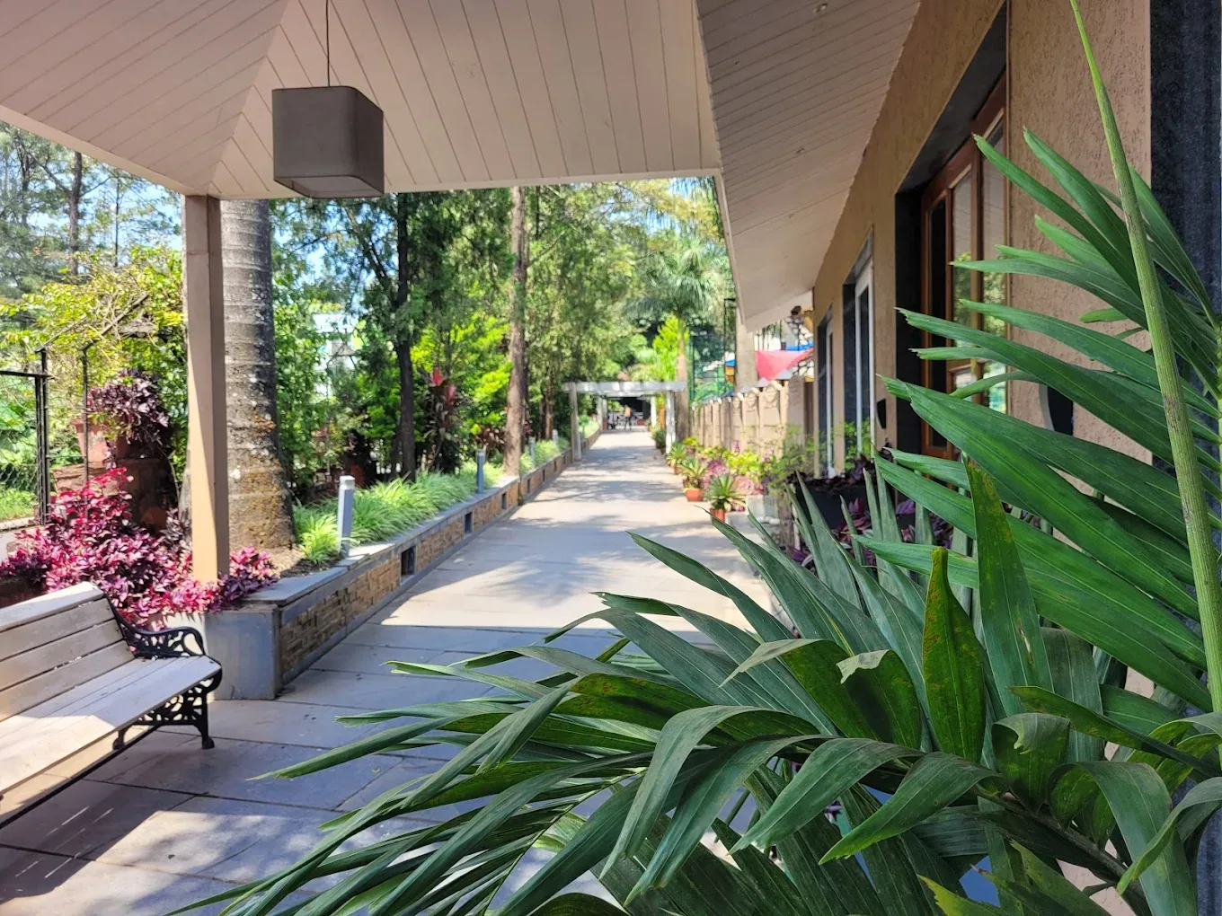 Basilica Resort — property photograph 1