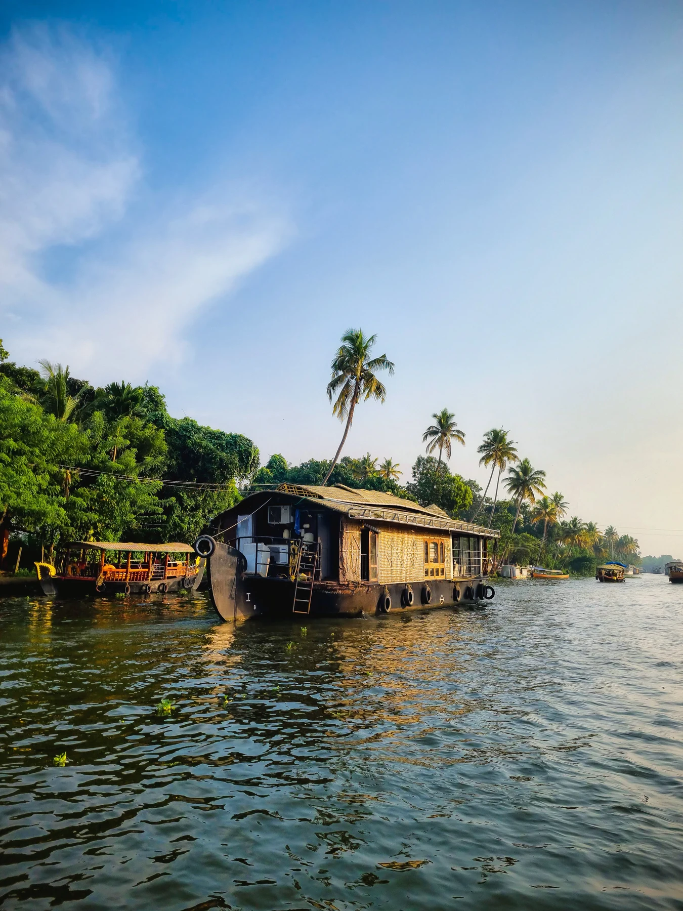 A traditional houseboat on the palm-lined backwaters of Alappuzha.