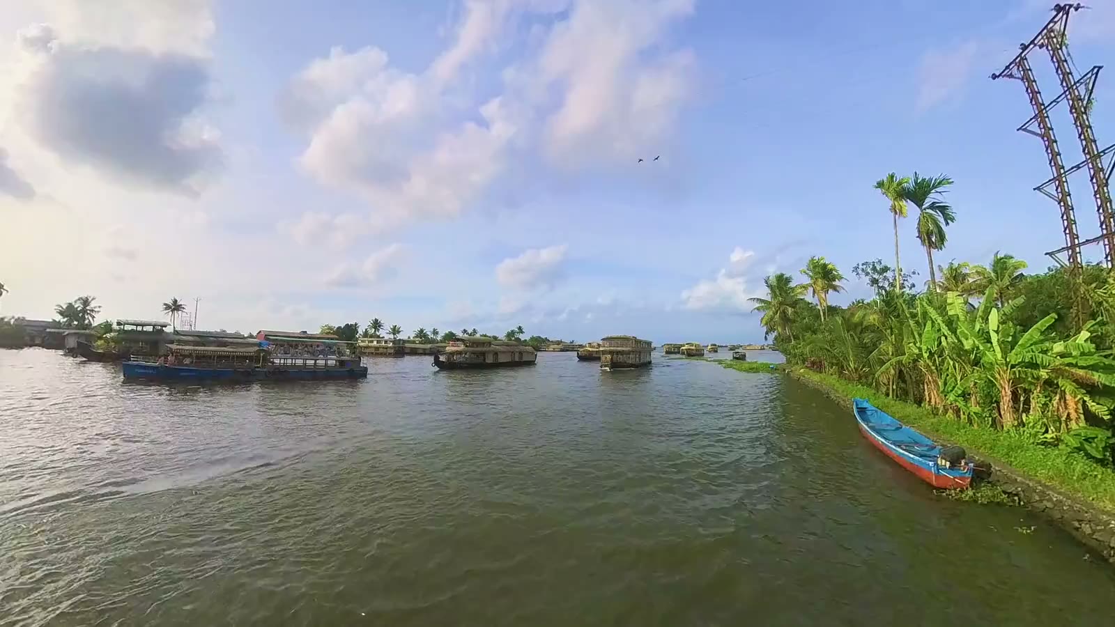 Traditional houseboats and palms along the Punnamada backwaters at Alappuzha.