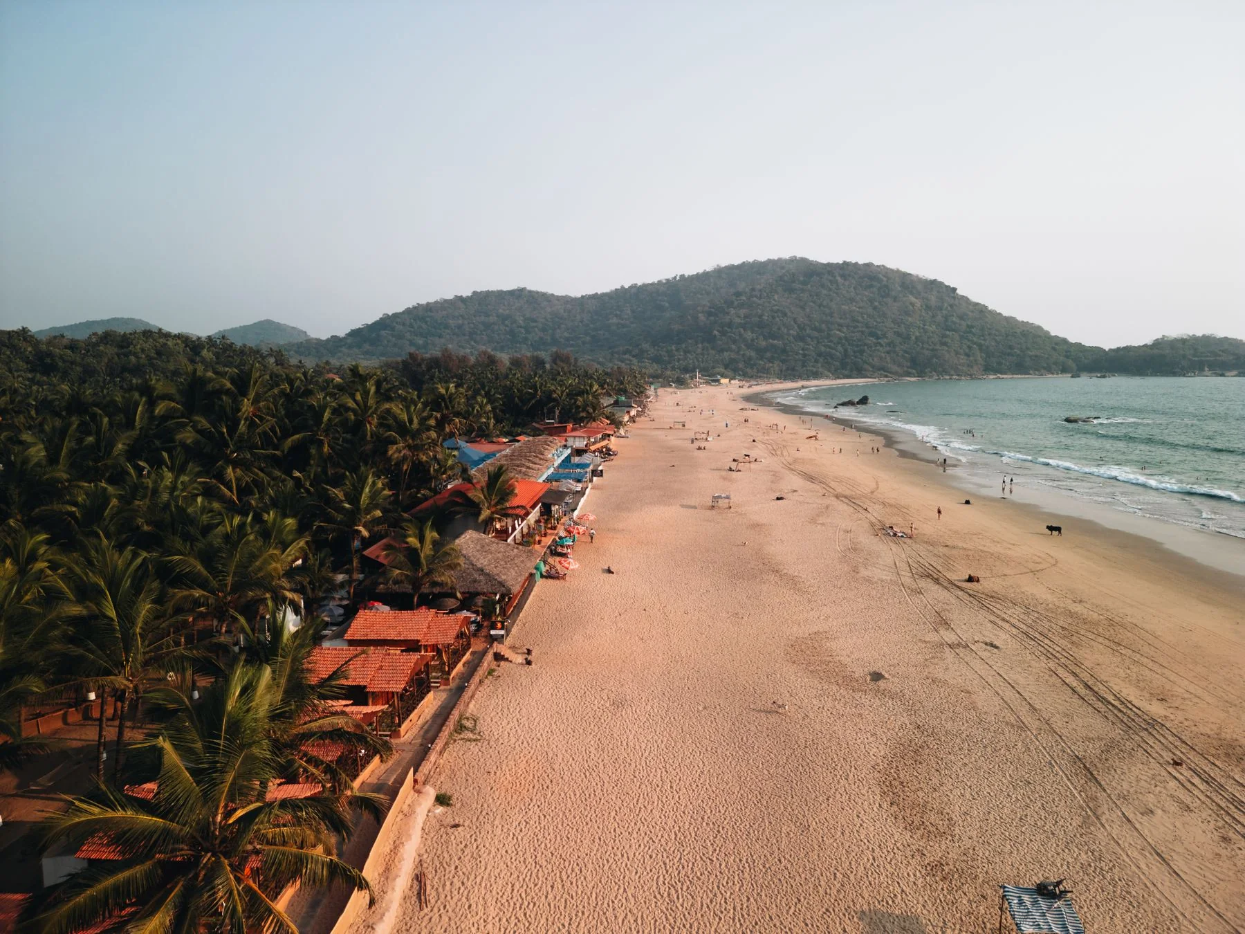 Palolem Beach in Goa, with a wide curve of sand, palm trees and sea