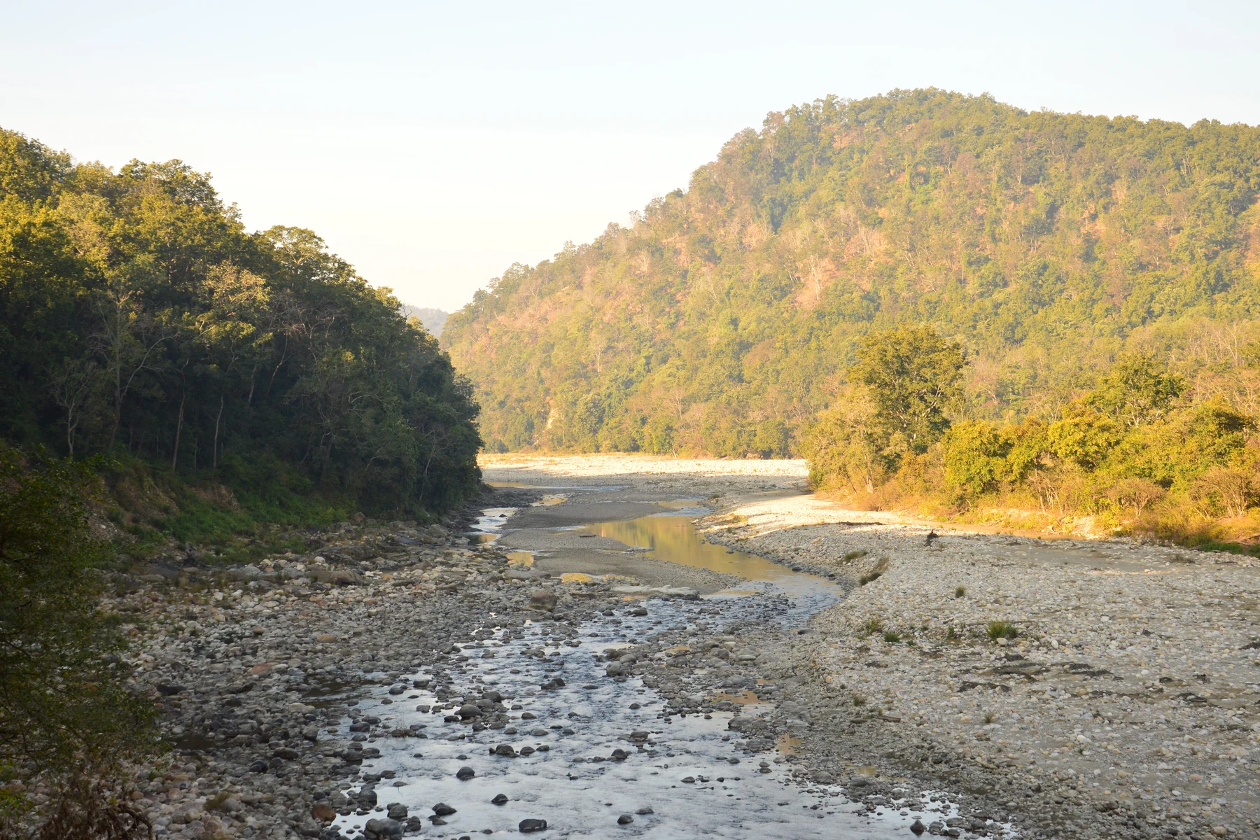 River, forest and green hills in Jim Corbett National Park