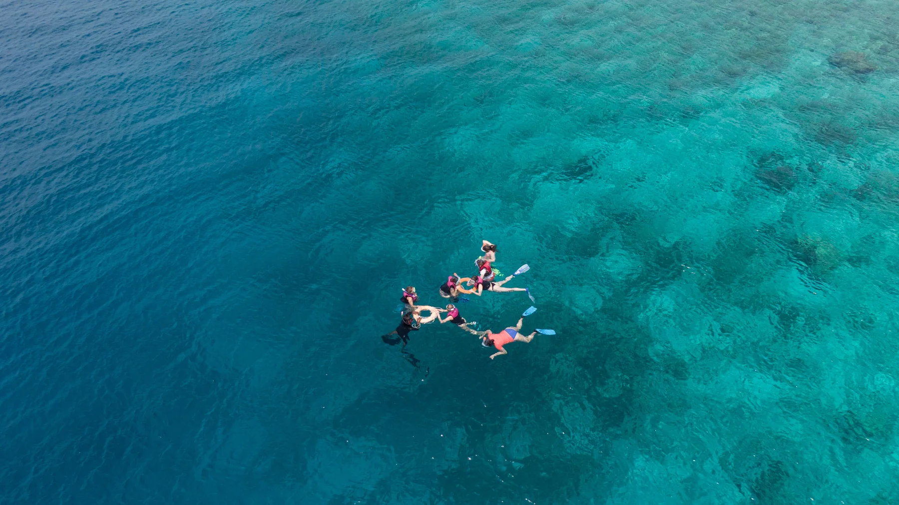 Snorkellers in clear turquoise water near Dhonfanu, Maldives.