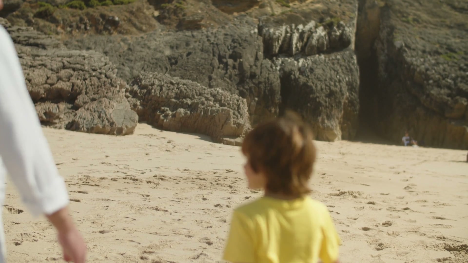 A family spending time together on a beach